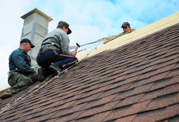 Professional Roofing Contractor in Glen Carbon, IL